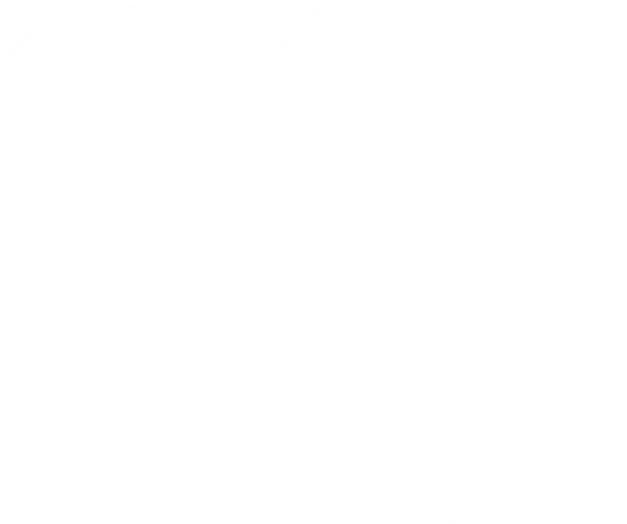 Dra Lizbeth Razo logo